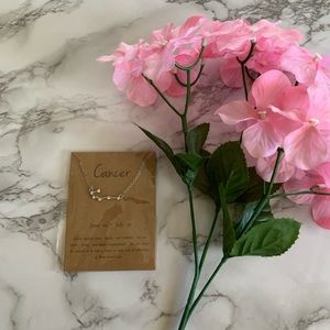 Cancer Constellation Necklace